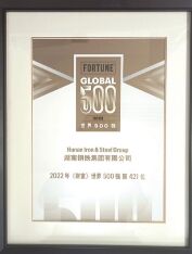 ●集团公司初次进入《财富》世界500强榜单。